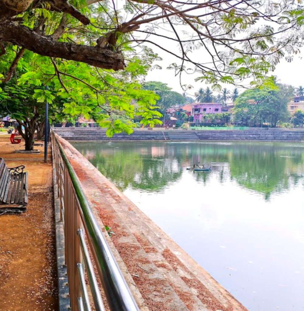 ಮಂಗಳೂರು | ಎಚ್ಚರಿಕೆ ಗಂಟೆ ಹೊಡೆಯುವ ಗುಜ್ಜರಕೆರೆ ನೀರು