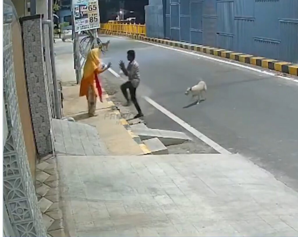 ಮಹಿಳೆಯ ರಕ್ಷಣೆಗೆ ಧಾವಿಸಿದ ಬೀದಿ ನಾಯಿಗಳು! ಲೈಂಗಿಕ ದೌರ್ಜನ್ಯ ಯತ್ನಕ್ಕೆ ತಡೆ: ಸಿಸಿಟಿವಿಯಲ್ಲಿ ಸೆರೆಯಾದ ದೃಶ್ಯ, ಆರೋಪಿ ಬಂಧನ
